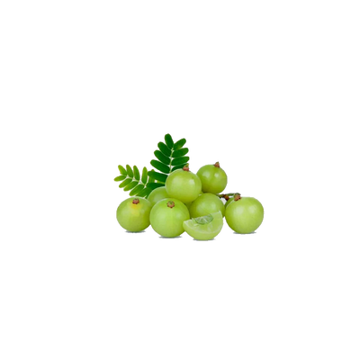 Amla Fruit Extract