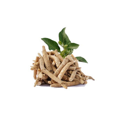 KSM-66 Ashwangandha Root Extract