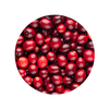 Cranberry