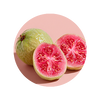 Guava