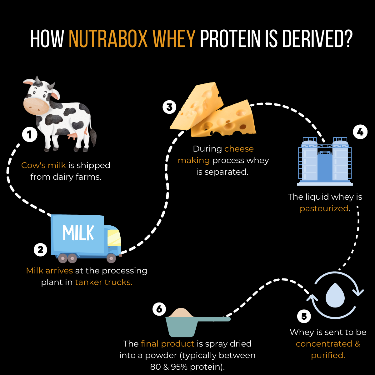Nutrabox 100% Whey Protein Powder 3kg (Assorted)