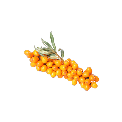 Sea Buckthorn Extract
