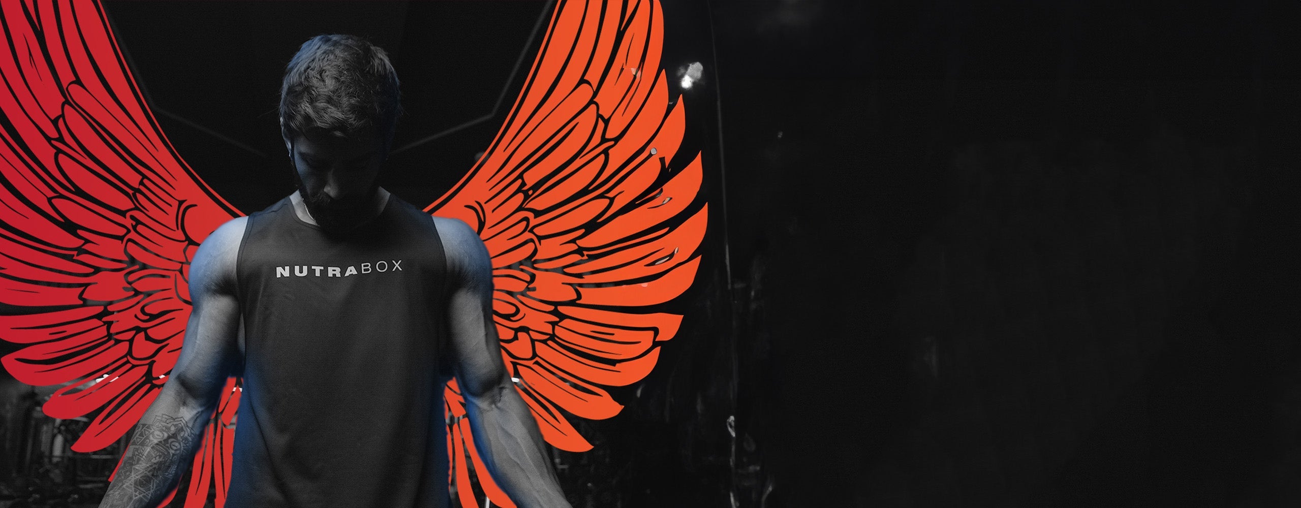 Pre, Intra, and Post Workout Nutrition - Guide