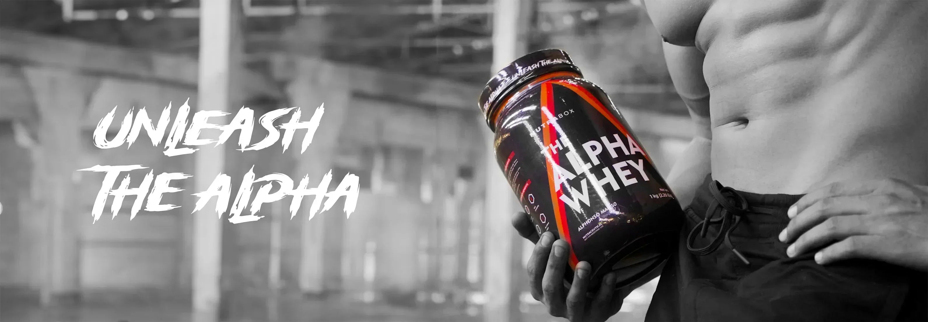 Best Whey Protein Under ₹2000 in India — Nutrabox Alpha Whey