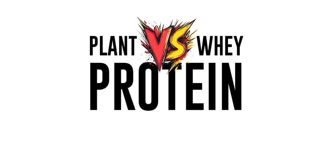 Plant Protein vs. Whey: Which One Helps Build Muscle Faster?