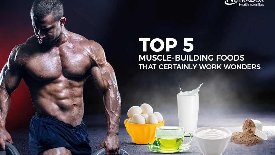 protein rich food