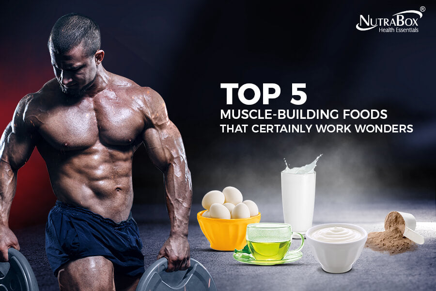 protein rich food