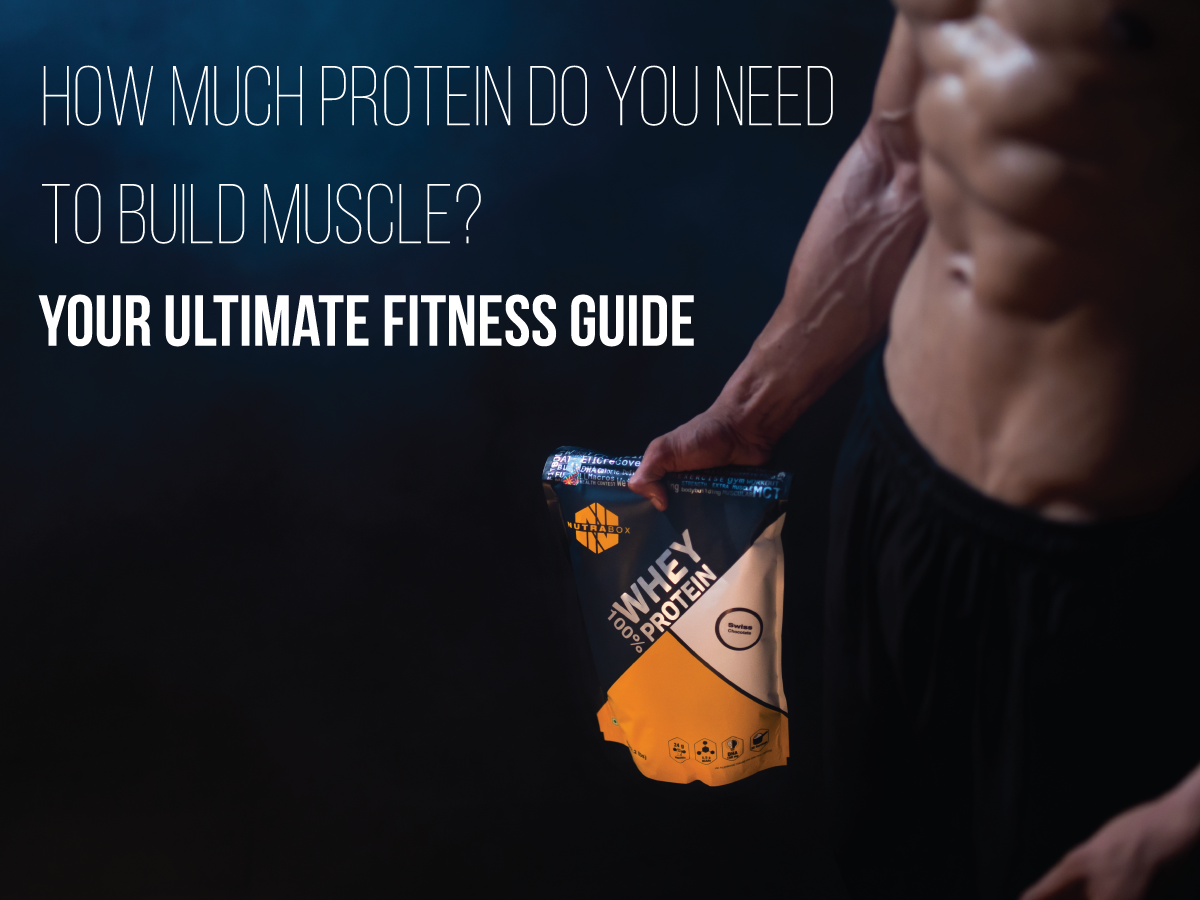 How Much Protein do you need To Build Muscle? | Your Ultimate Fitness Guide
