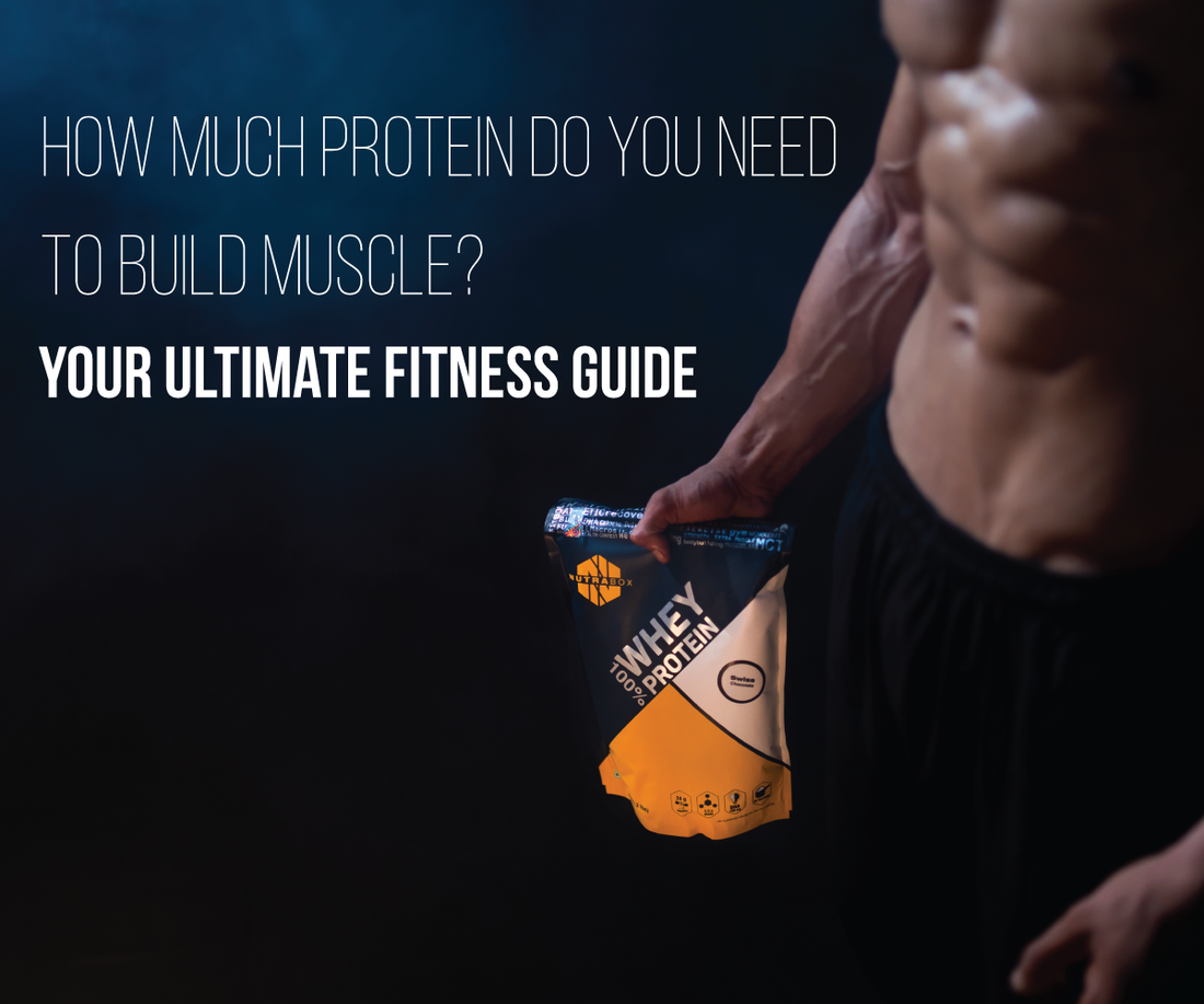 How Much Protein do you need To Build Muscle? | Your Ultimate Fitness Guide