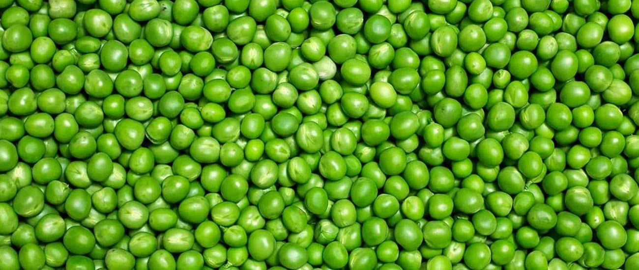 What Is Pea Protein? Benefits, Nutrition, Side Effects & Uses Explained