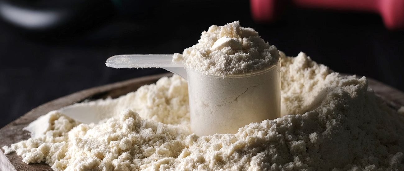 How Much Protein To Build Muscles?