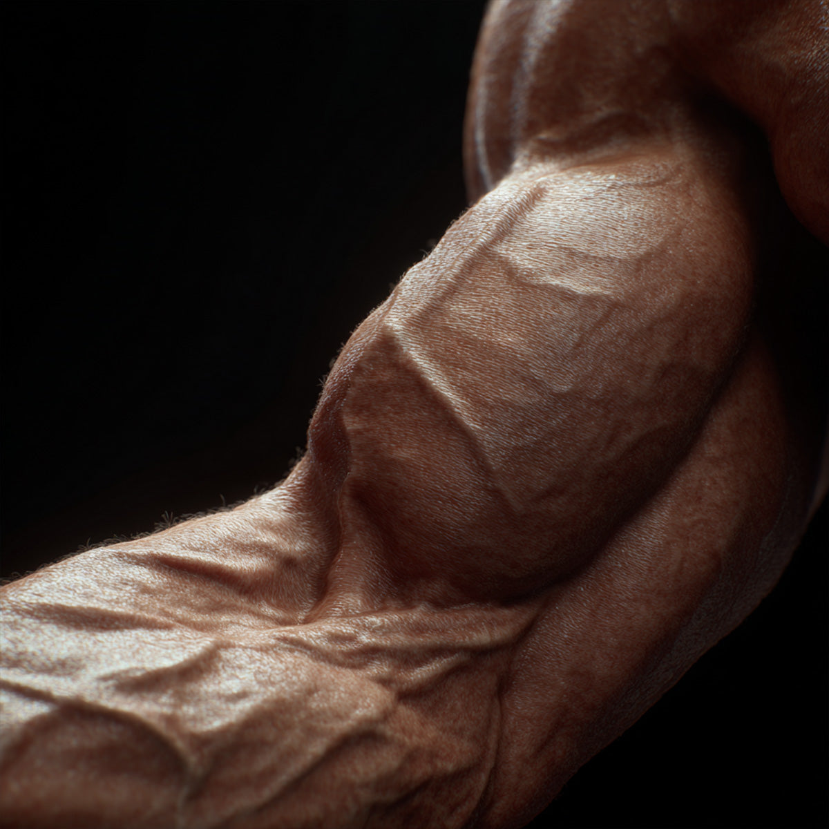 Muscle Building Supplements