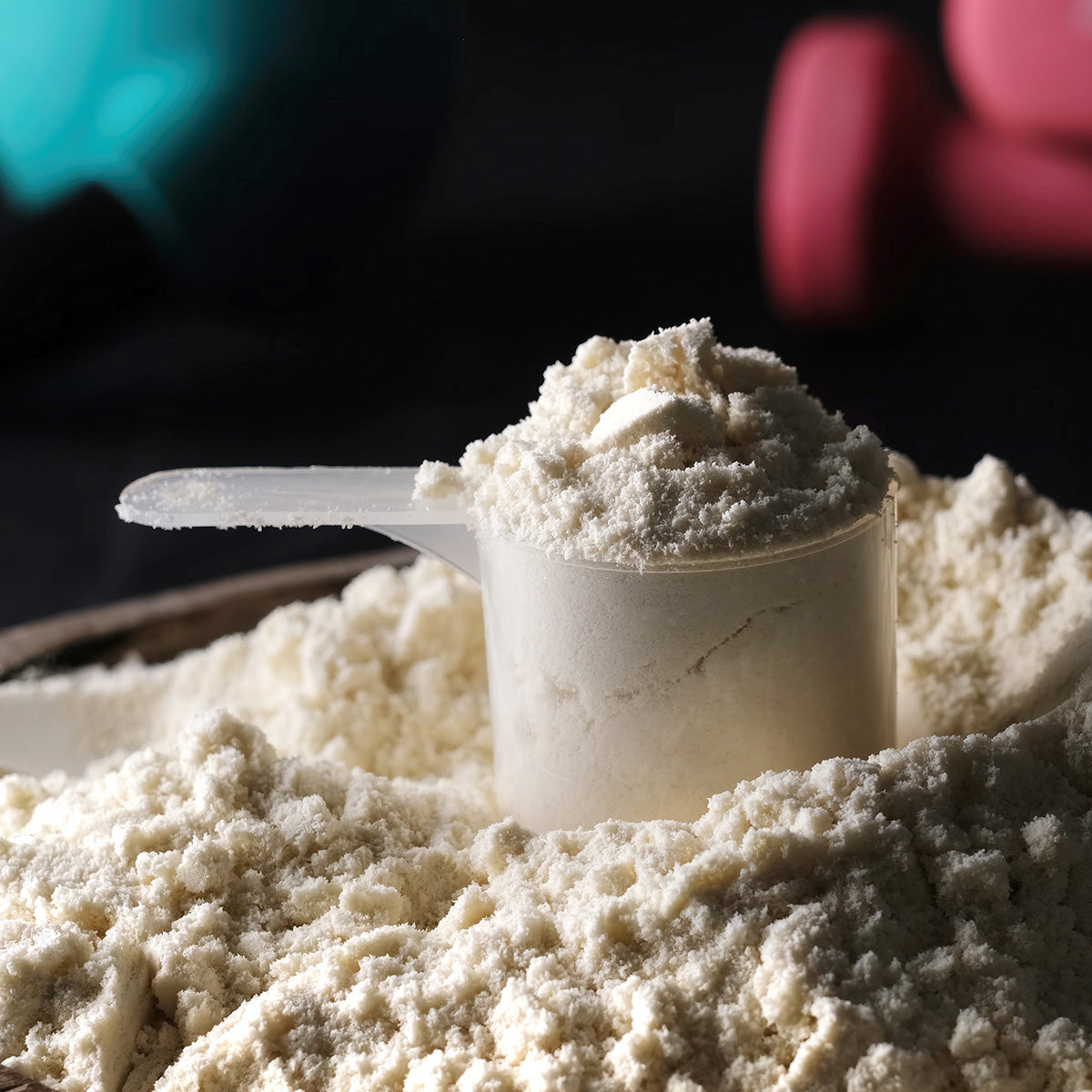 Proteins &amp; Gainers