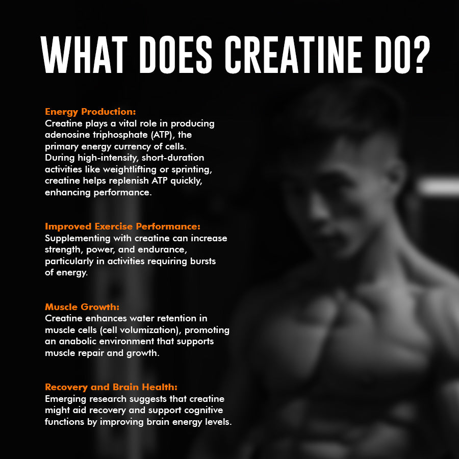 Nutrabox Alpha Creatine