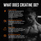 Nutrabox Alpha Creatine