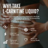 L-Carnitine Liquid (30 Servings)`