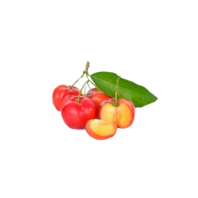 Acerola Extract