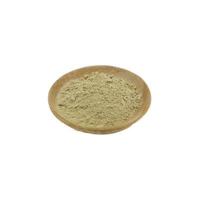 Aloe Vera Powder