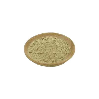 Aloe Vera Powder