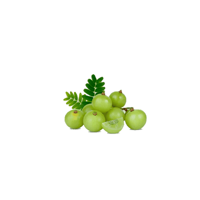 Amla Fruit Extract