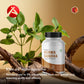 Nutrabox KSM-66 Ashwagandha Capsules - Buy 1 Get 1 Free