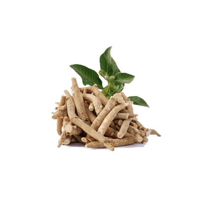 KSM-66 Ashwangandha Root Extract