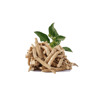 Ashwangandha Root Extract
