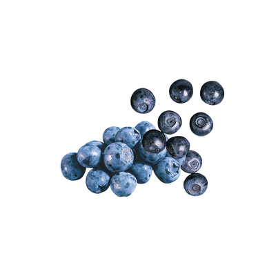 Black Currant and Blueberries
