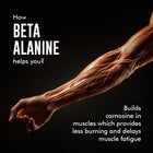 Beta Alanine