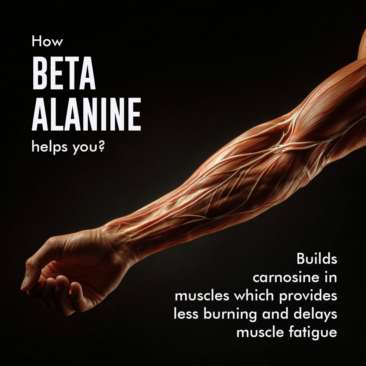 Beta Alanine