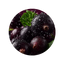 Black Currant