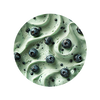 Blueberry Muffin