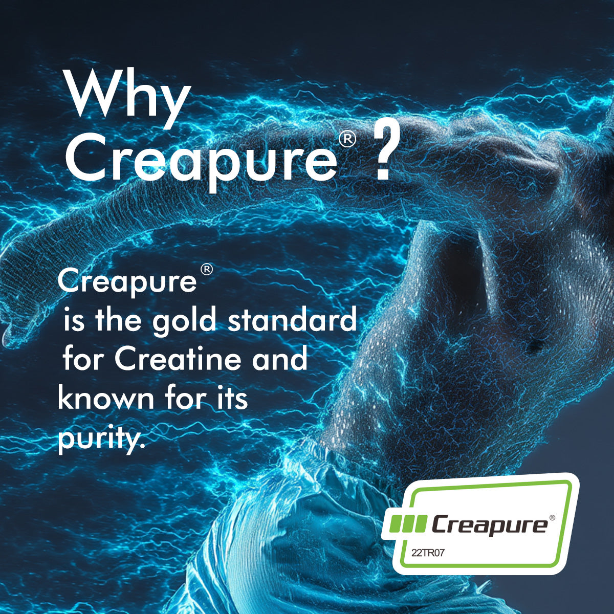 Creatine Monohydrate made with Creapure®