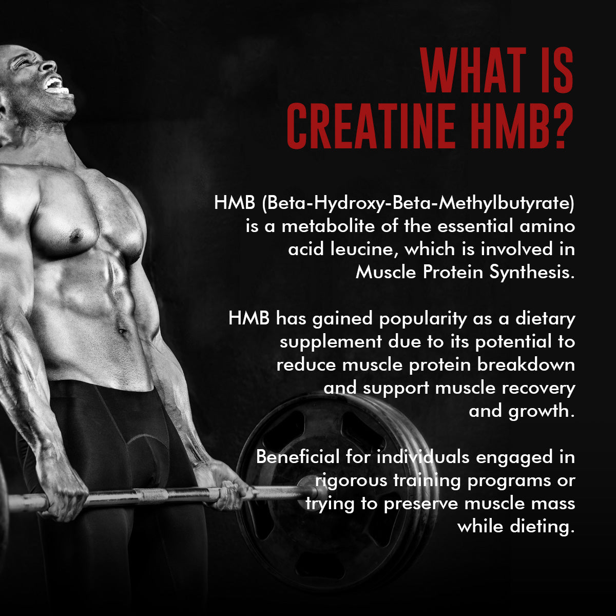 What is Creatine HMB
