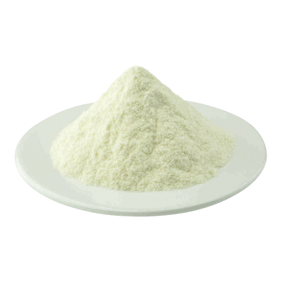 Digestive Enzymes