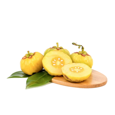 Garcinia Cambogia Extract