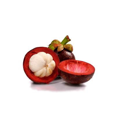 Garcinia Indica Extract