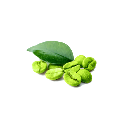 Green Coffee Extract	
