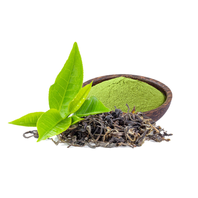 Green Tea Extract	