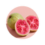 Guava