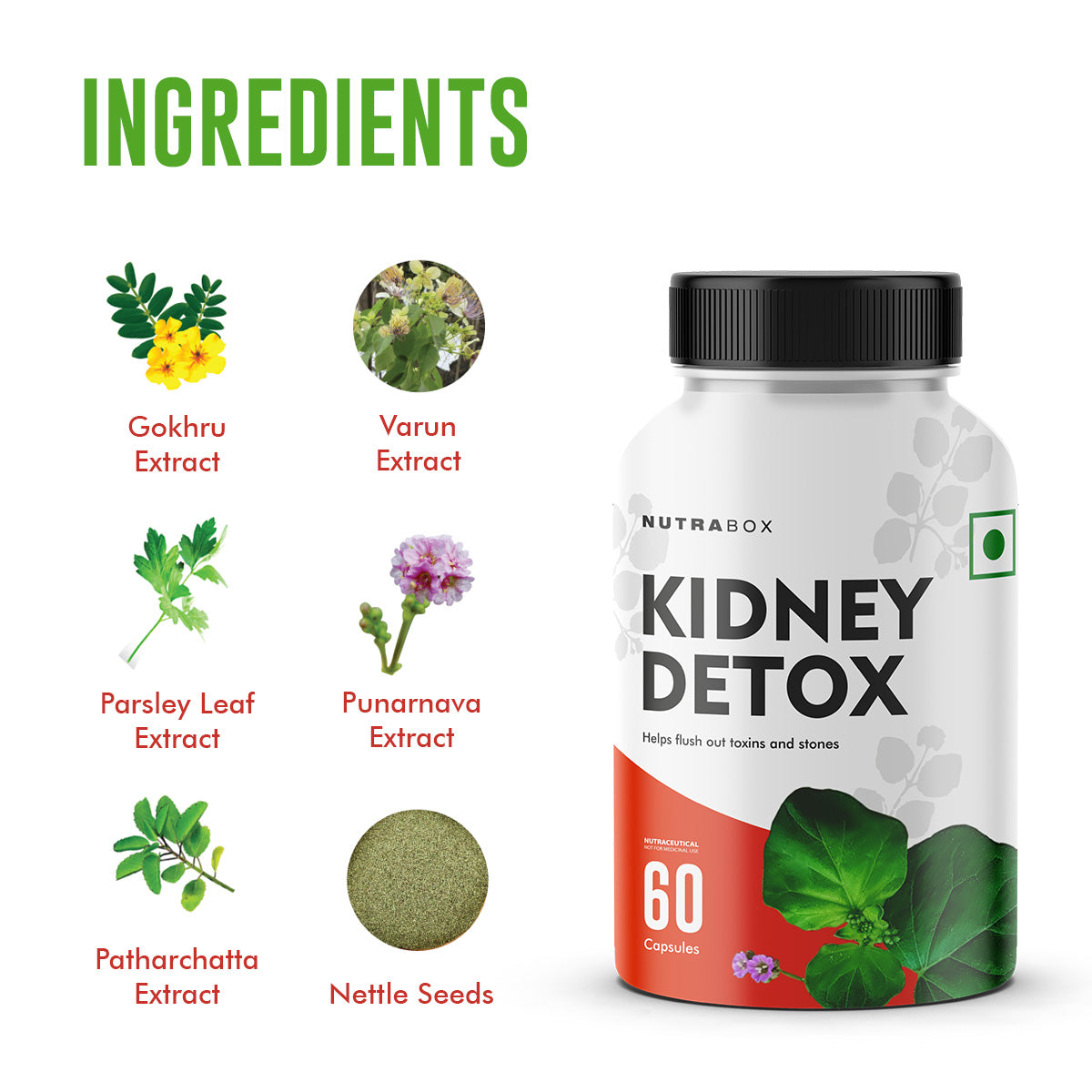 Benefits of Kidney Detox Supplement