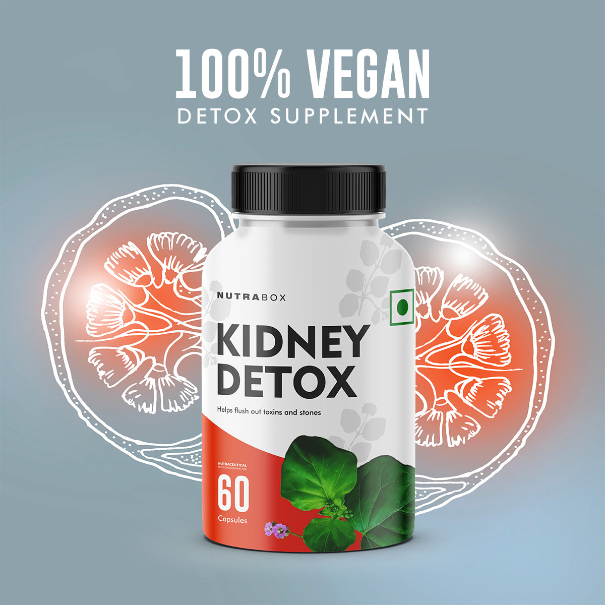 Kidney Detox Capsules are 100% Vegan