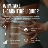 L-Carnitine Liquid (30 Servings)`