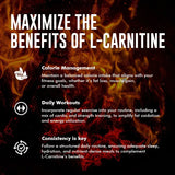 L-Carnitine Liquid (30 Servings)`