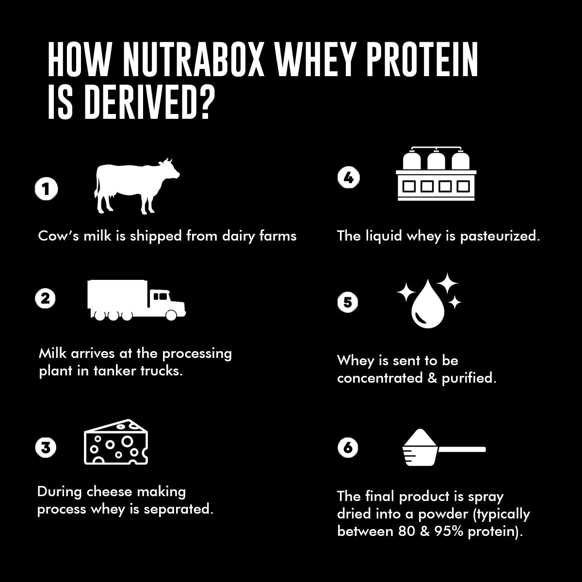 Nutrabox 100% Whey Protein Powder