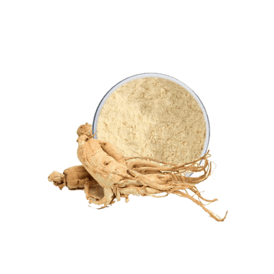 Panax Ginseng Extract