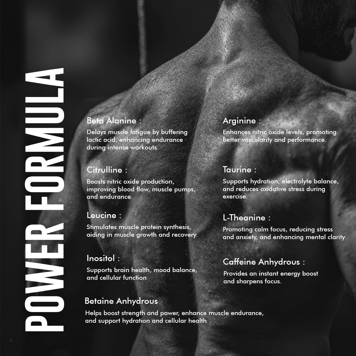Ripped Pre workout Liquid