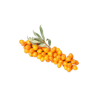 Sea Buckthorn Extract