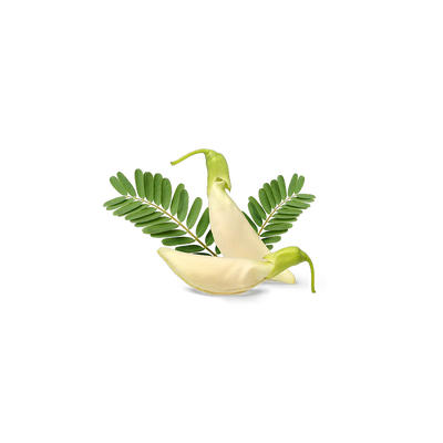 Sesbania Extract