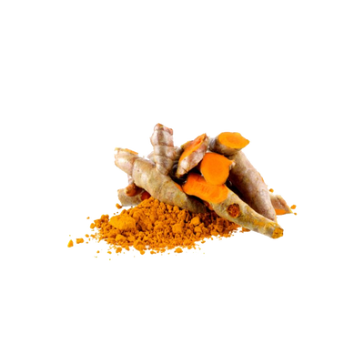Turmeric Root Extract